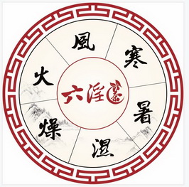 六淫茶风寒暑湿燥火