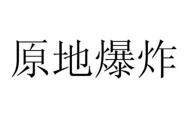 原地爆炸是什么意思图片