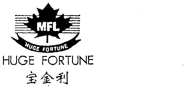  em>宝金利 /em>  em>huge /em>  em>fortune /em>