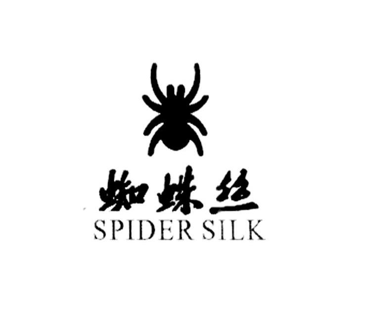 蜘蛛丝  em>spider /em>  em>silk /em>