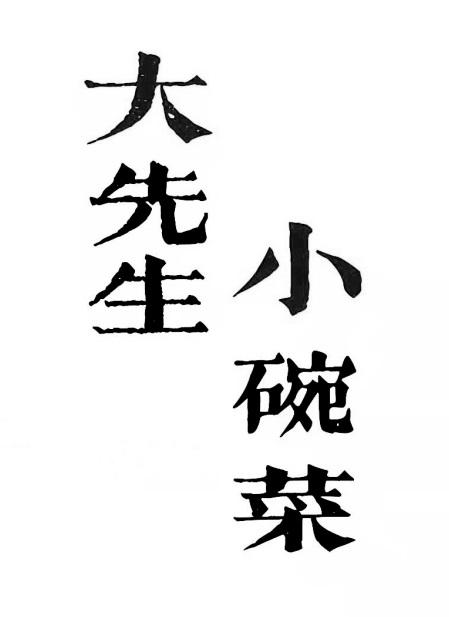 大先生小碗菜logo图片