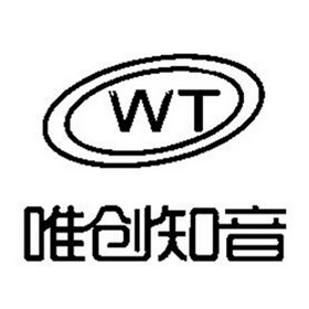  em>唯创 /em> em>知音 /em> wt