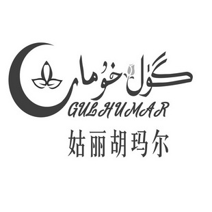 姑丽胡玛尔 gulhumar