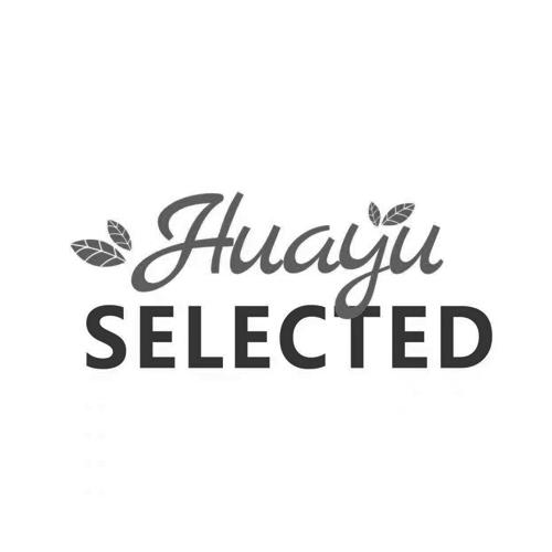 泉州新格投资管理有限公司huayu selected商标注册申请申请/注册号