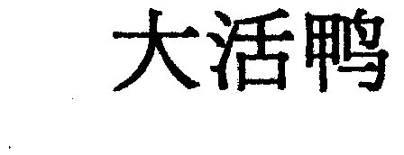大活鸭
