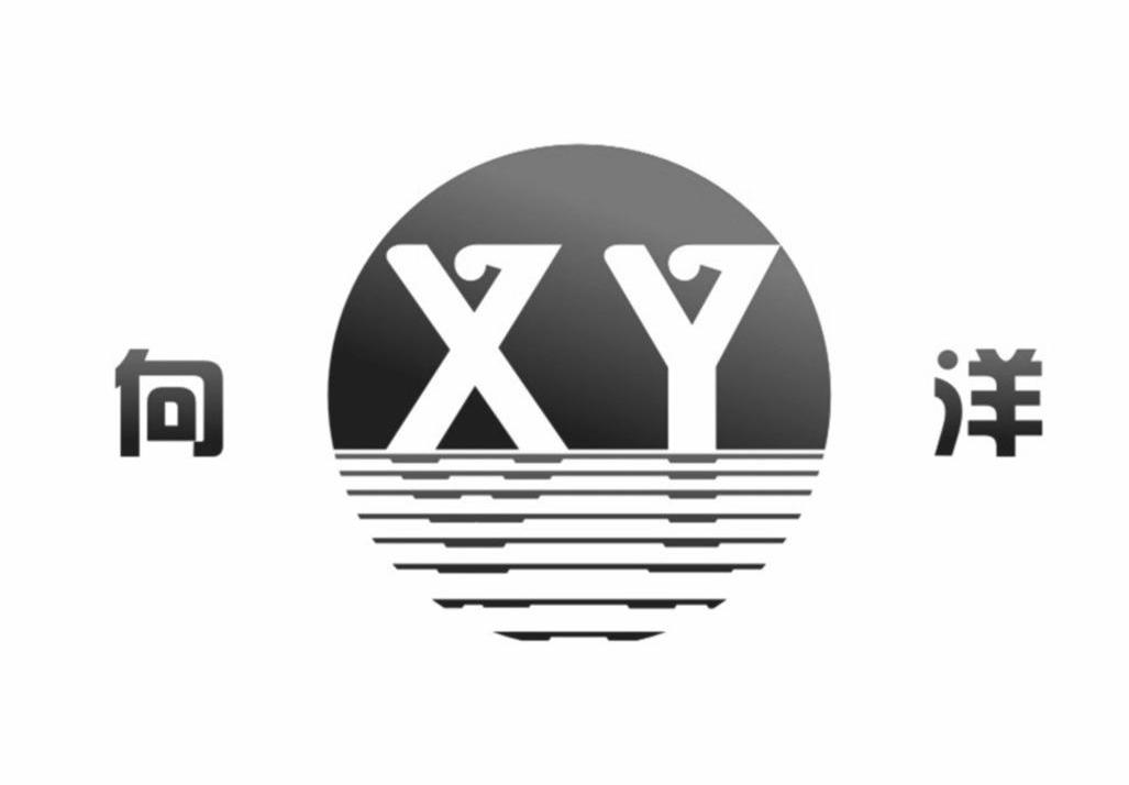  em>向 /em> em>洋 /em>  em>xy /em>