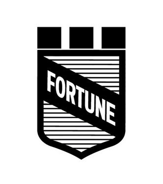 fortune - 商標 - 愛企查