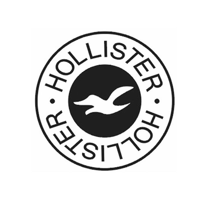  em>hollister /em>  em>hollister /em>