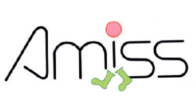  em>amiss /em>