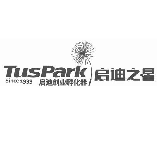 商标详情申请人:启迪控股股份有限公司 办理/代理机构:北京康信知识