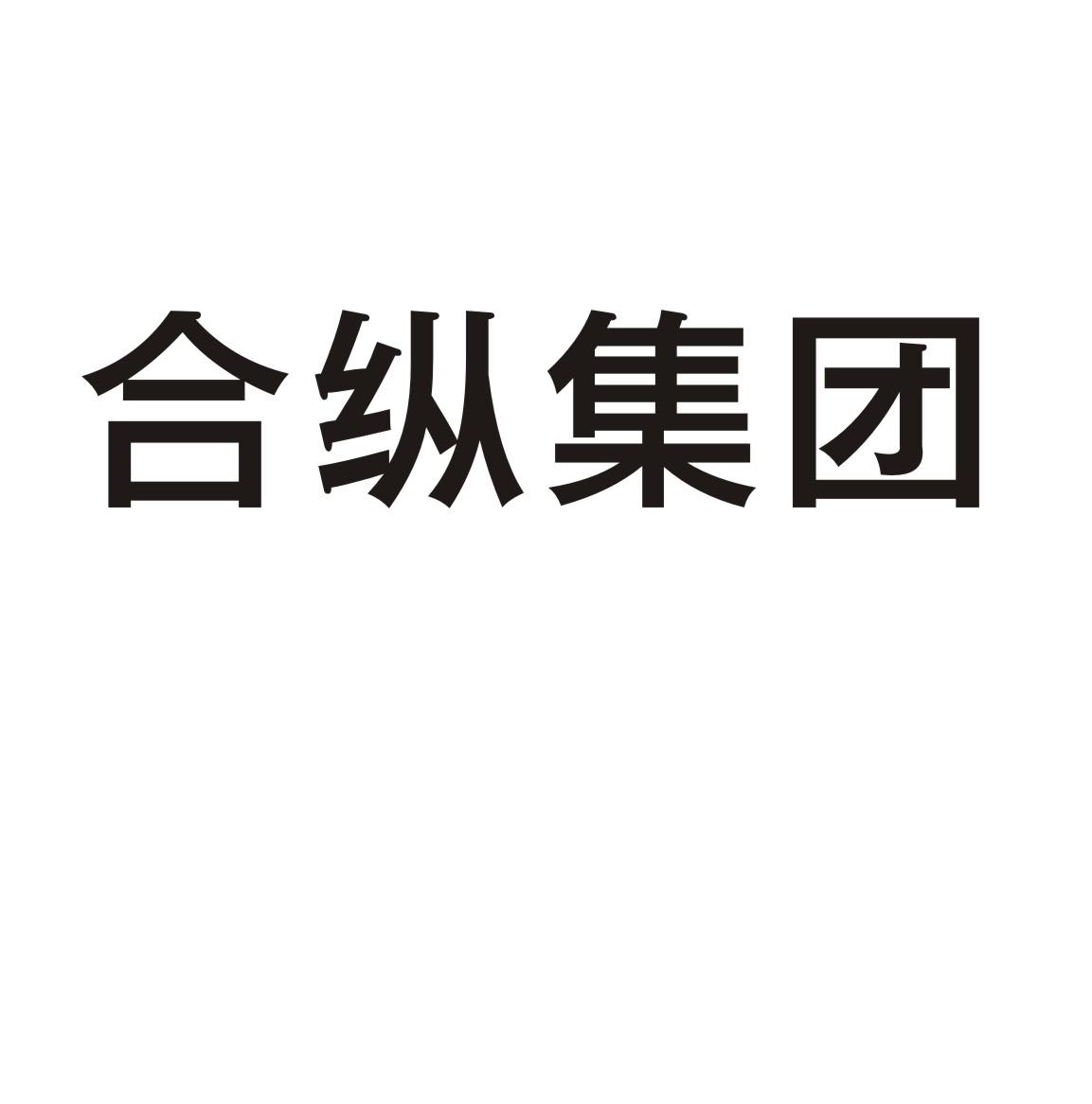  em>合纵 /em> em>集团 /em>