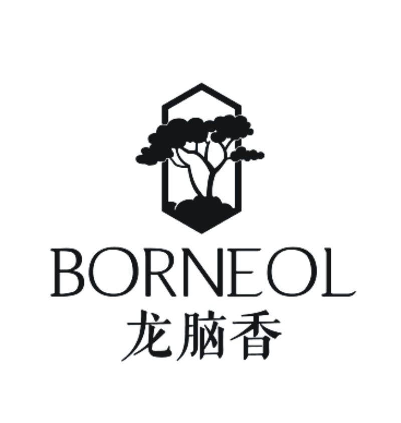  em>龙脑香 /em> borneol