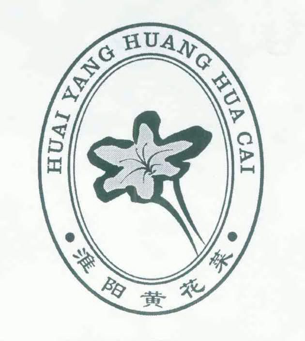  em>淮阳 /em> em>黄花菜 /em>