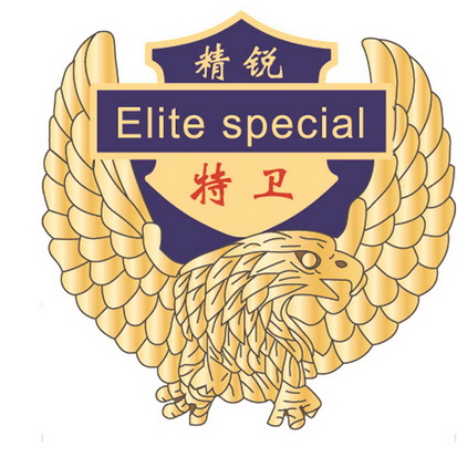  em>精锐 /em> em>特 /em> em>卫 /em>  em>elite /em>  em>special 
