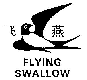  em>飞燕 /em>; em>flying /em>  em>swallow /em>