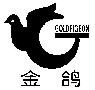 金鸽;goldpigeon                           
