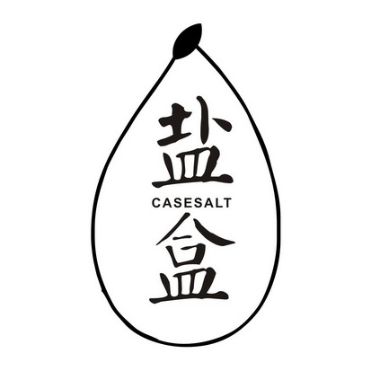 盐盒casesalt