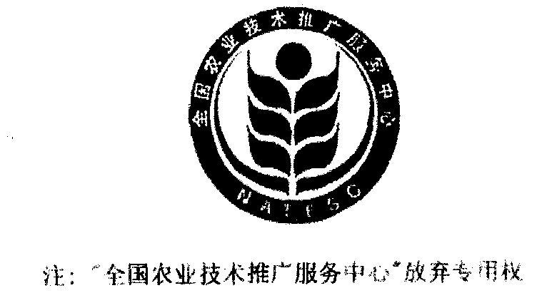 农业技术咨询助力现代农业”,“插上科技翅膀飞翔”
