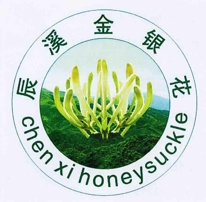 辰溪 em>金银花 /em> chen xi  em>honeysuckle /em>