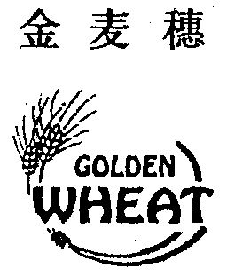 金麦穗goldenwheat 