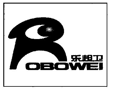 乐邦卫;robowei