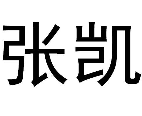  em>张凯 /em>
