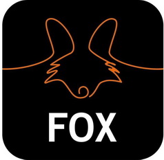 Fox搜索引擎官网入口_fox视频搜索软件 Fox搜索引擎官网入口_fox视频搜索软件
