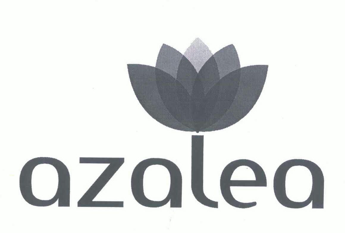 azalea吉他图片