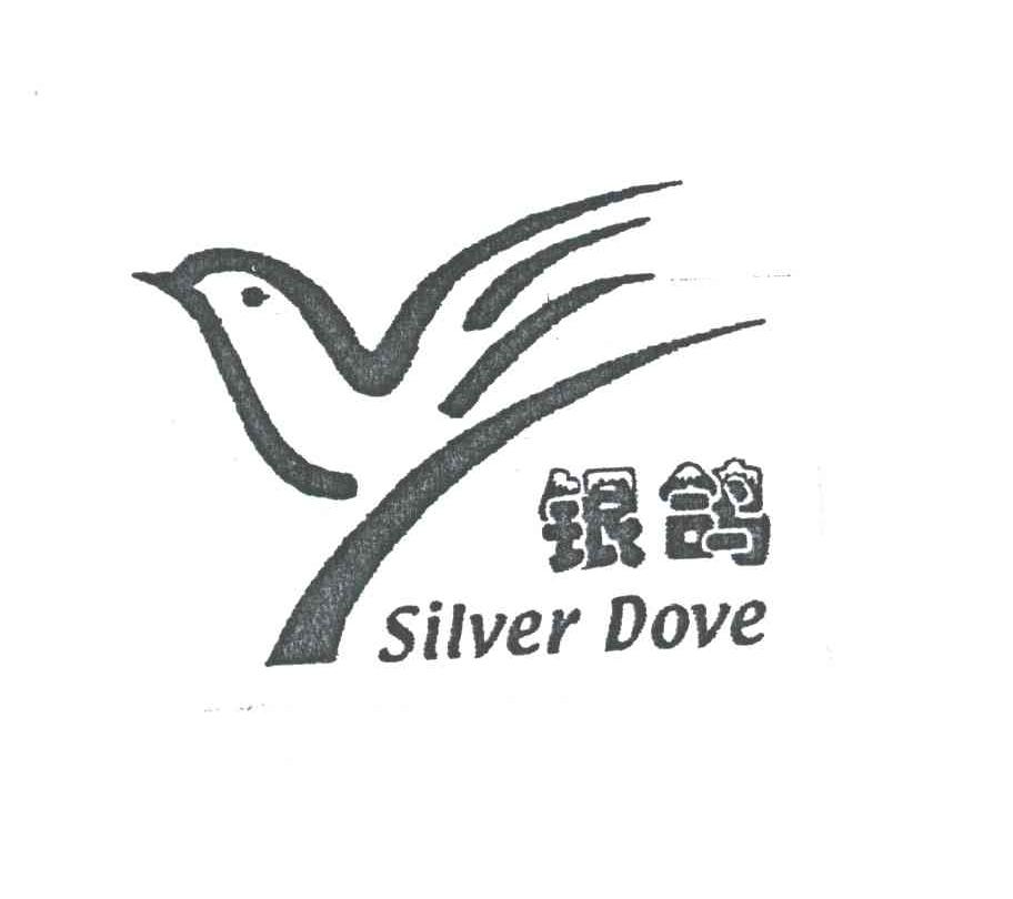 em>银鸽/em em>silver/em em>dove/em>