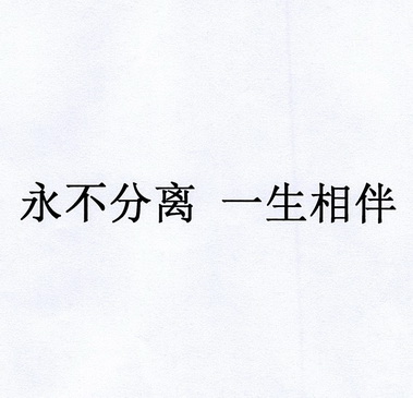 永不分离  一生 相伴等待实质审查