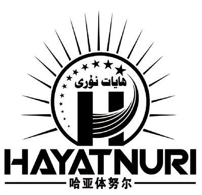 哈亚体努尔 em>hayat /em>nurih
