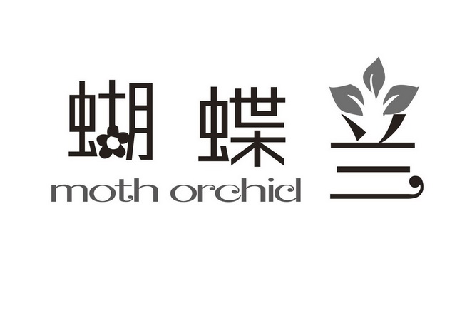  em>蝴蝶兰 /em>  em>moth /em>  em>orchid /em>