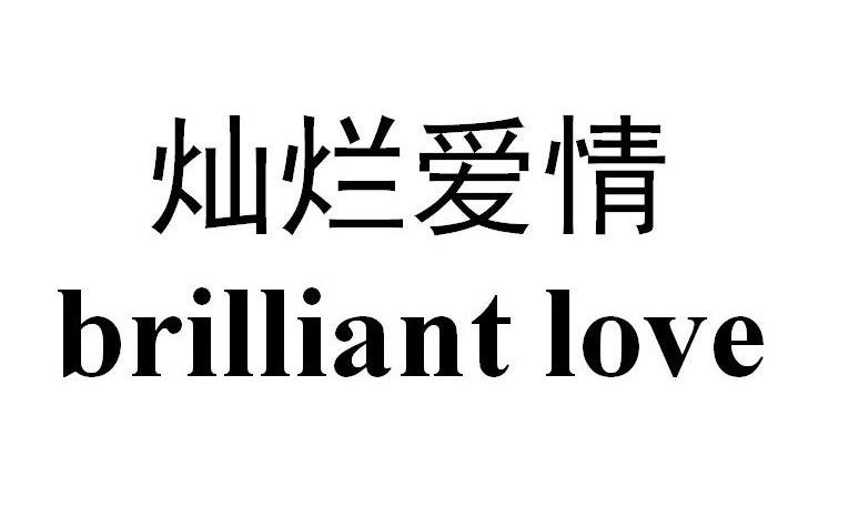 灿烂爱情  em>brilliant /em>  em>love /em>
