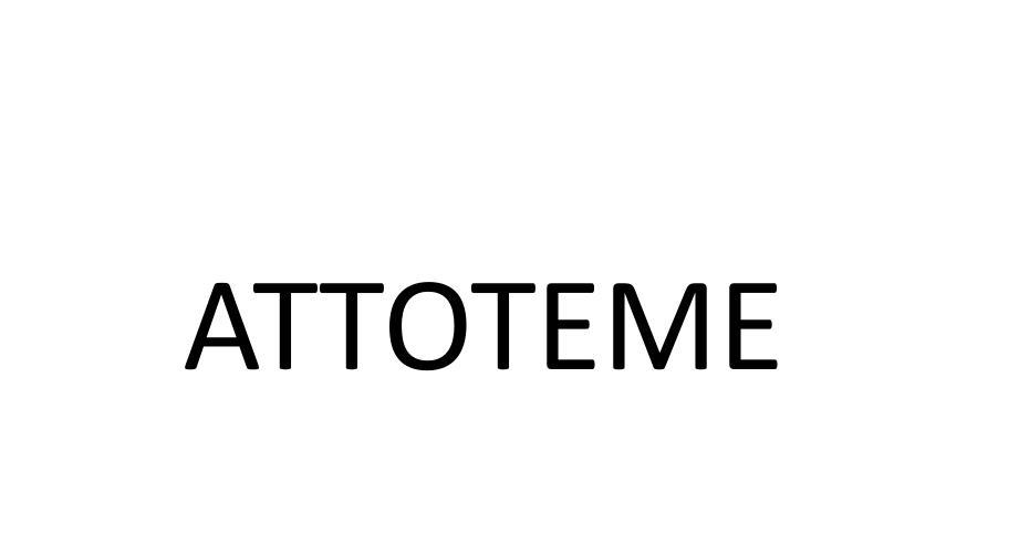 attoteme                                  