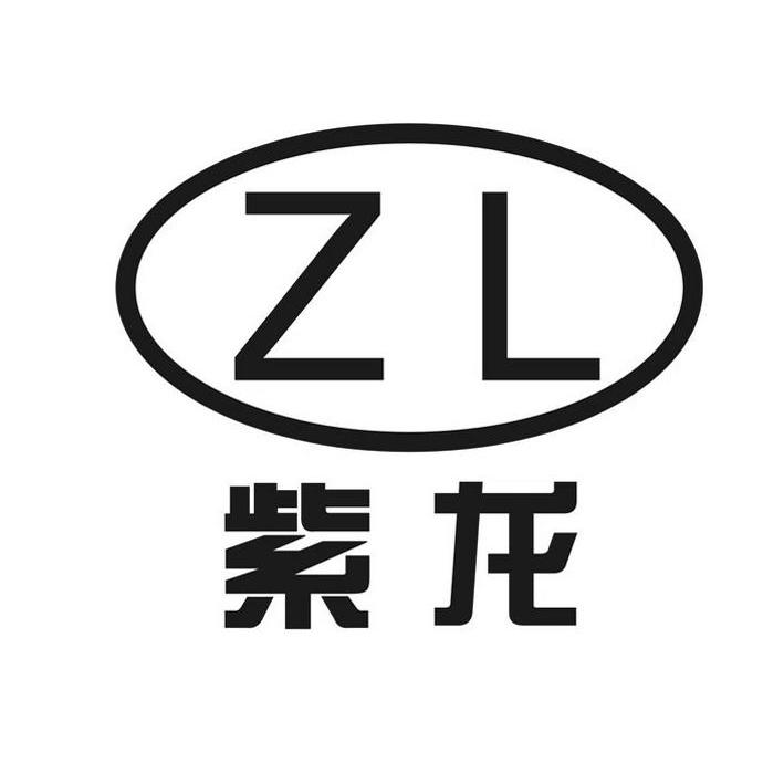 紫龙游戏logo图片