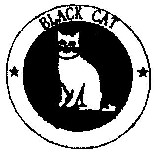  em>black /em>  em>cat /em>