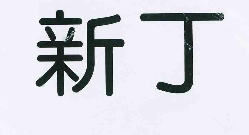 em>新丁 /em>