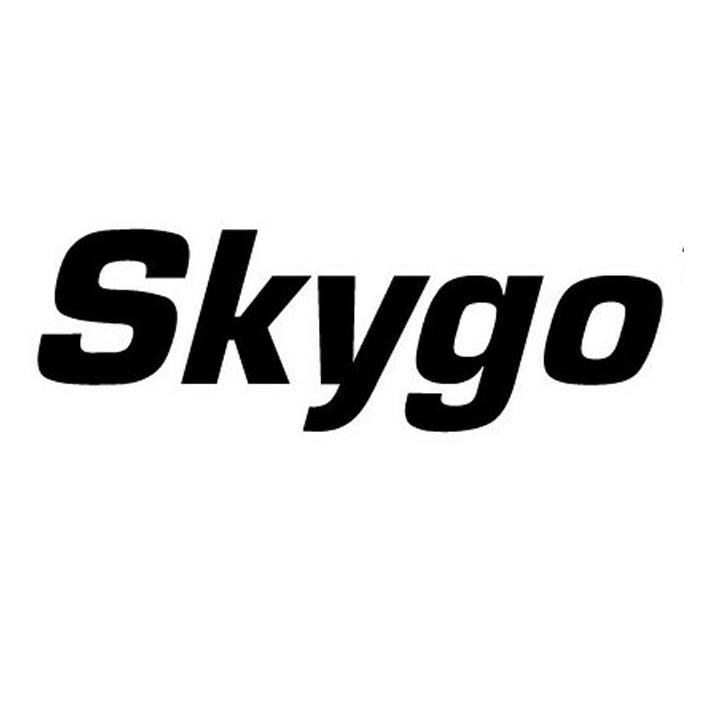 go代理，go代理模式