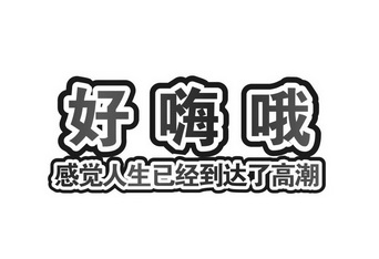 好嗨哦 em>感觉 /em>人生已经到达了高潮