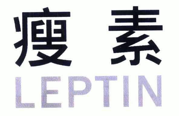 瘦素;leptin                               