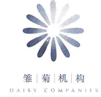 雏菊机构 daisy companies                  