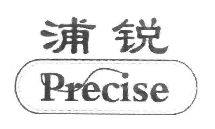 浦锐 em>precise/em>