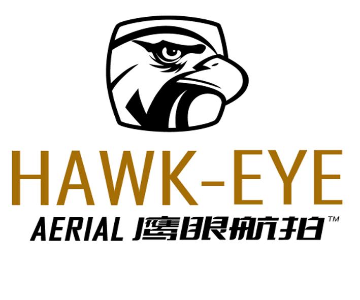 hawk-eye em>aerial/em>