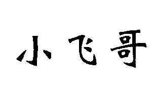 小飞哥                                    