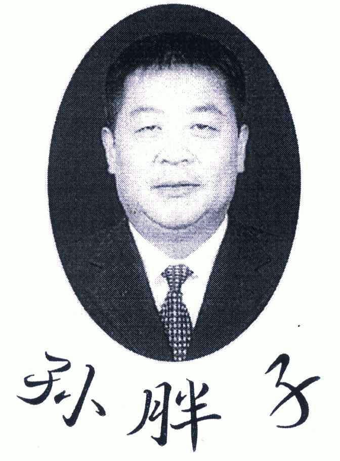  em>孙 /em> em>胖子 /em>