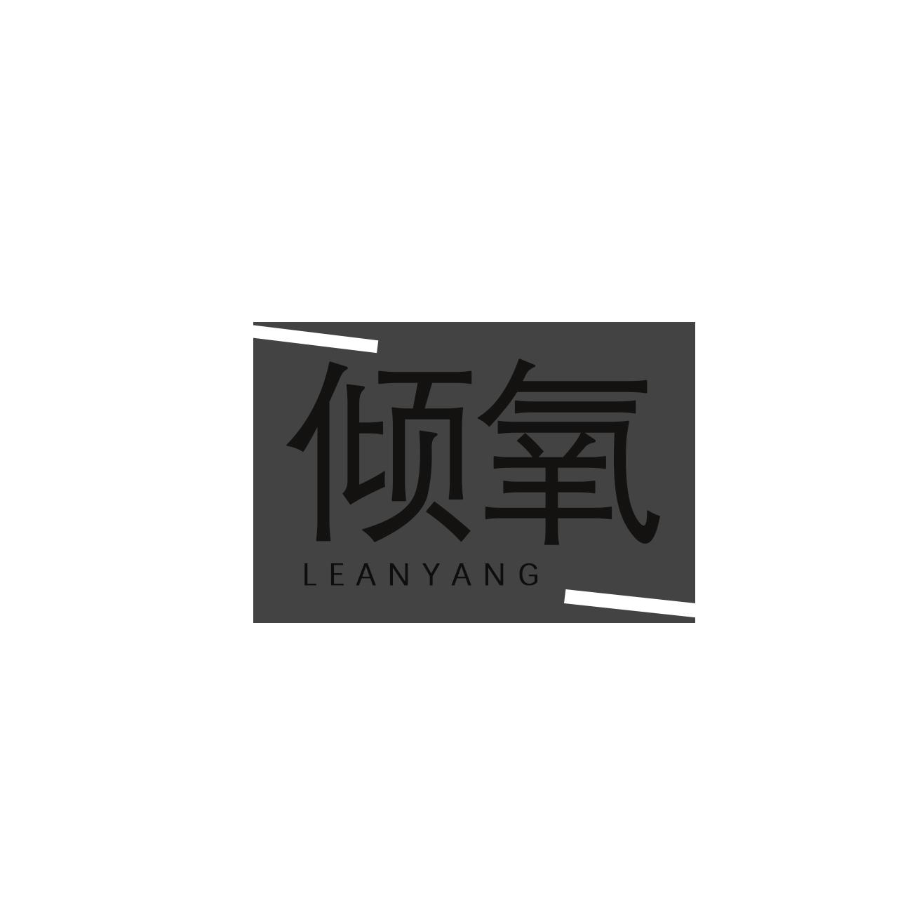 em>倾康/em leanyang