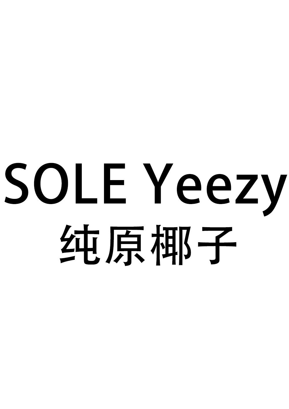  em>纯 /em> em>原 /em> em>椰子 /em> sole yeezy