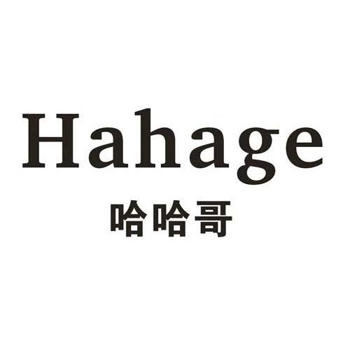 哈哈哥注册证发文