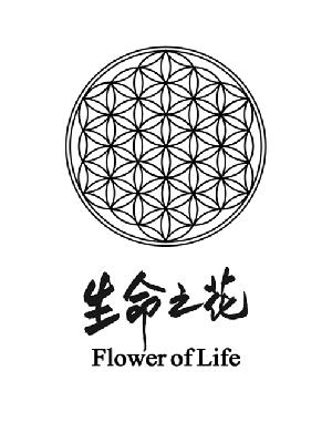 生命之花 flower of life 商标注册申请完成