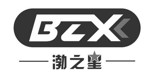 渤之星 bzx